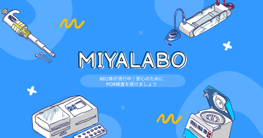 マスクを着用した人物とウイルスのイラスト、PCR検査でXEC株感染リスクを確認するイメージ