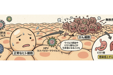 国立がん研究センターのがん予防ガイドラインに基づき、がん原因ウイルス（HPV・B型肝炎・C型肝炎）やピロリ菌が正常なヒト細胞に感染してがん細胞へと増殖する仕組みを分かりやすく図解したイラスト。