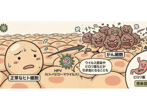 国立がん研究センターのがん予防ガイドラインに基づき、がん原因ウイルス（HPV・B型肝炎・C型肝炎）やピロリ菌が正常なヒト細胞に感染してがん細胞へと増殖する仕組みを分かりやすく図解したイラスト。
